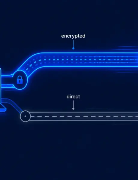 What is VPN split tunneling - encrypted and direct traffic streams diagram (vpnvertex.com)